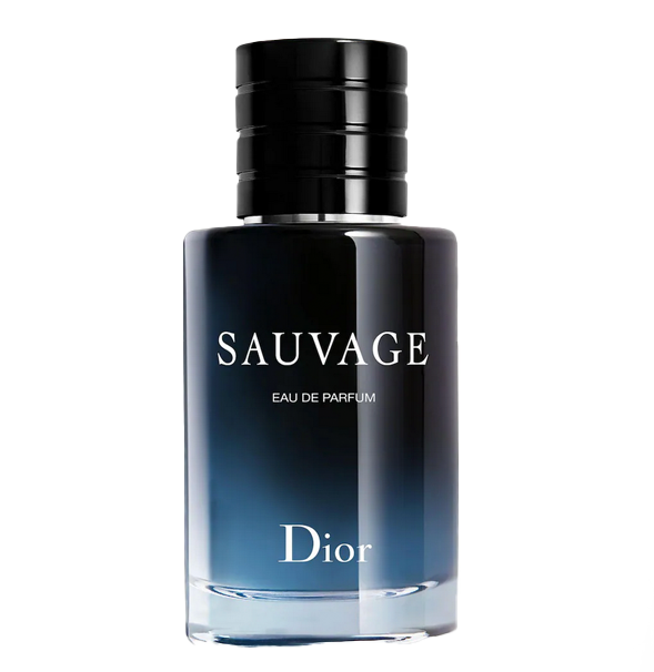 dior men banner