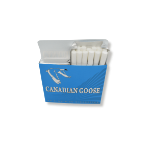 Canadian Goose Light 1