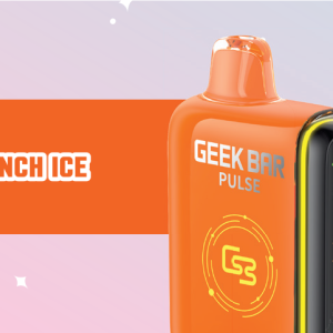 GEEK BAR PULSE DISPOSABLE PUNCH ICE